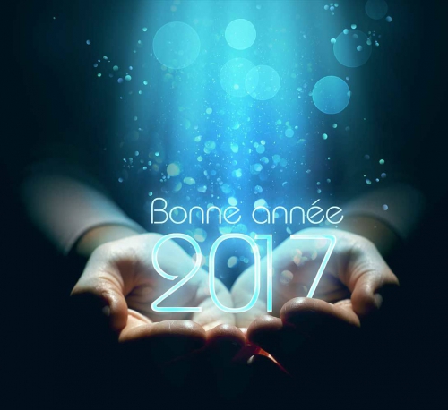 Photo-Montage-Bonne-Annee-2017.jpg