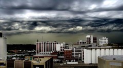 Asperatus-030609b.jpg