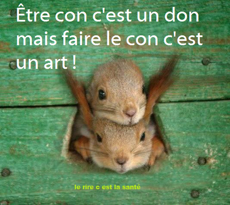 Etre con c'est un don, faire le con c'est un art.png