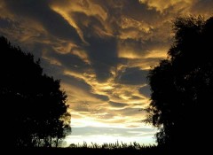 Asperatus-030609c.jpg